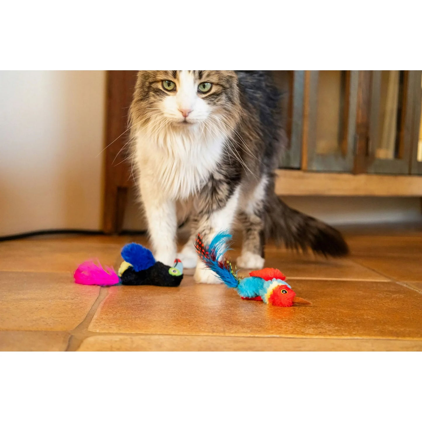 Vibrant Life Catnip Feather Birds Cat Toys – Parrot & Toucan Duo, 2-Pack Interactive Cat Play Set