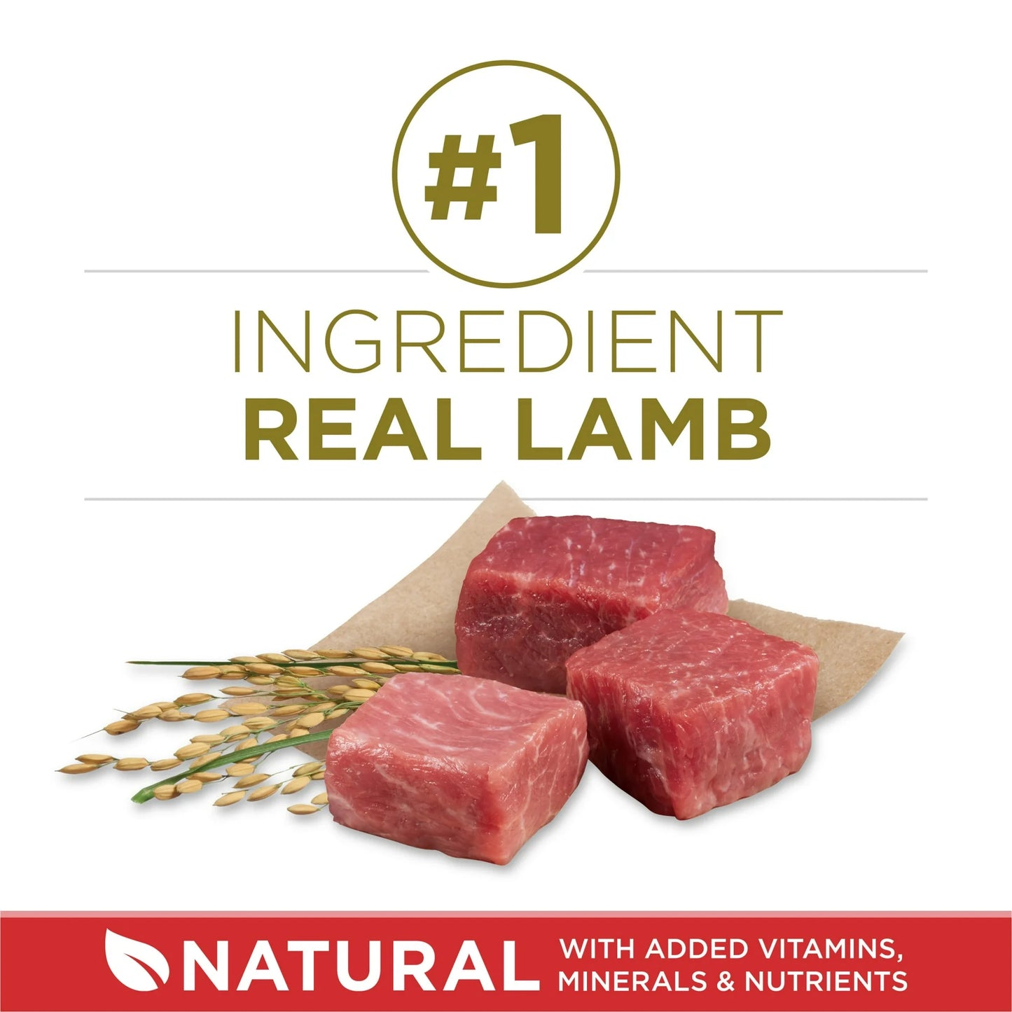 Purina ONE Lamb & Rice Formula Dry Dog Food – High Protein Nutrition for Adult Dogs, 8 lb Bag