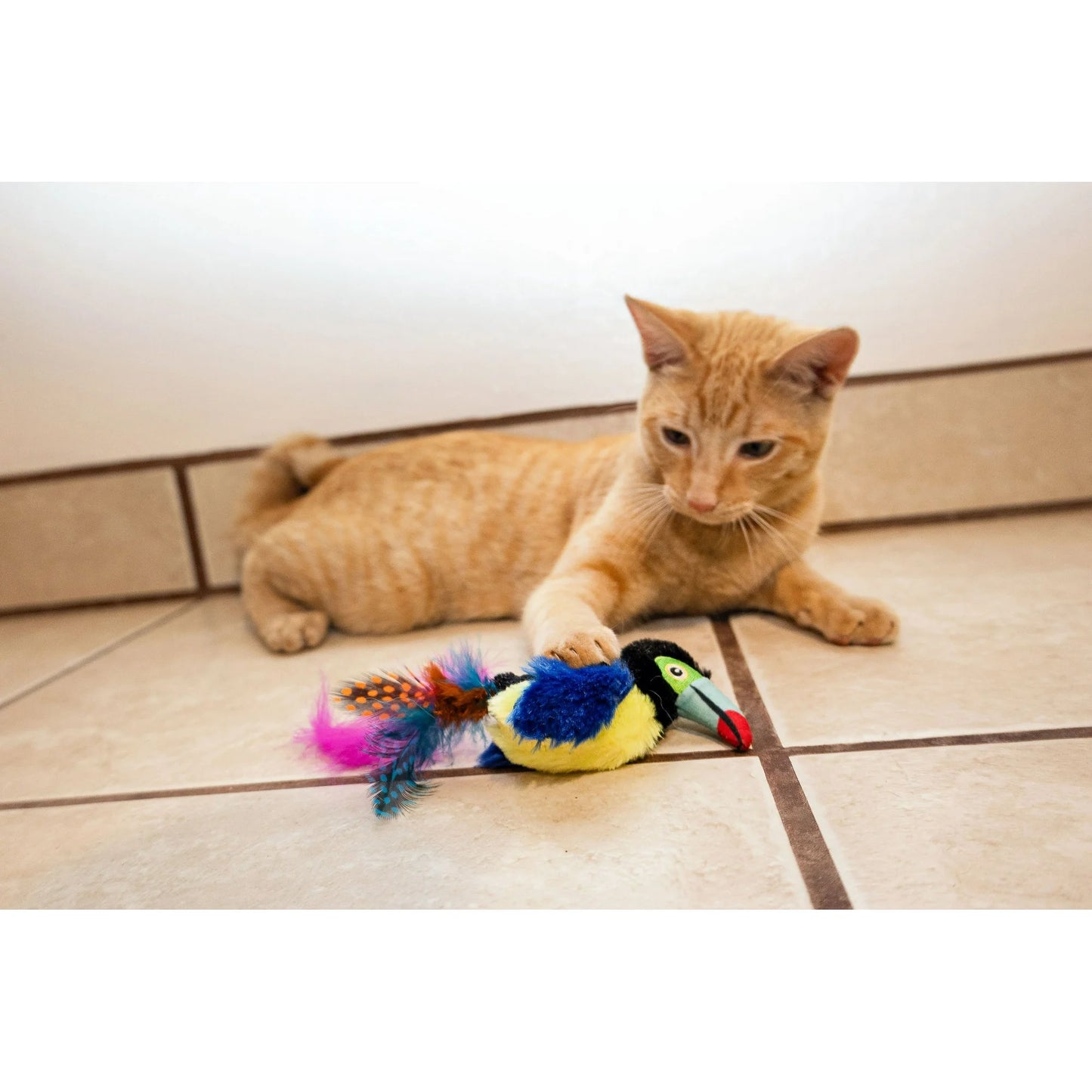 Vibrant Life Catnip Feather Birds Cat Toys – Parrot & Toucan Duo, 2-Pack Interactive Cat Play Set